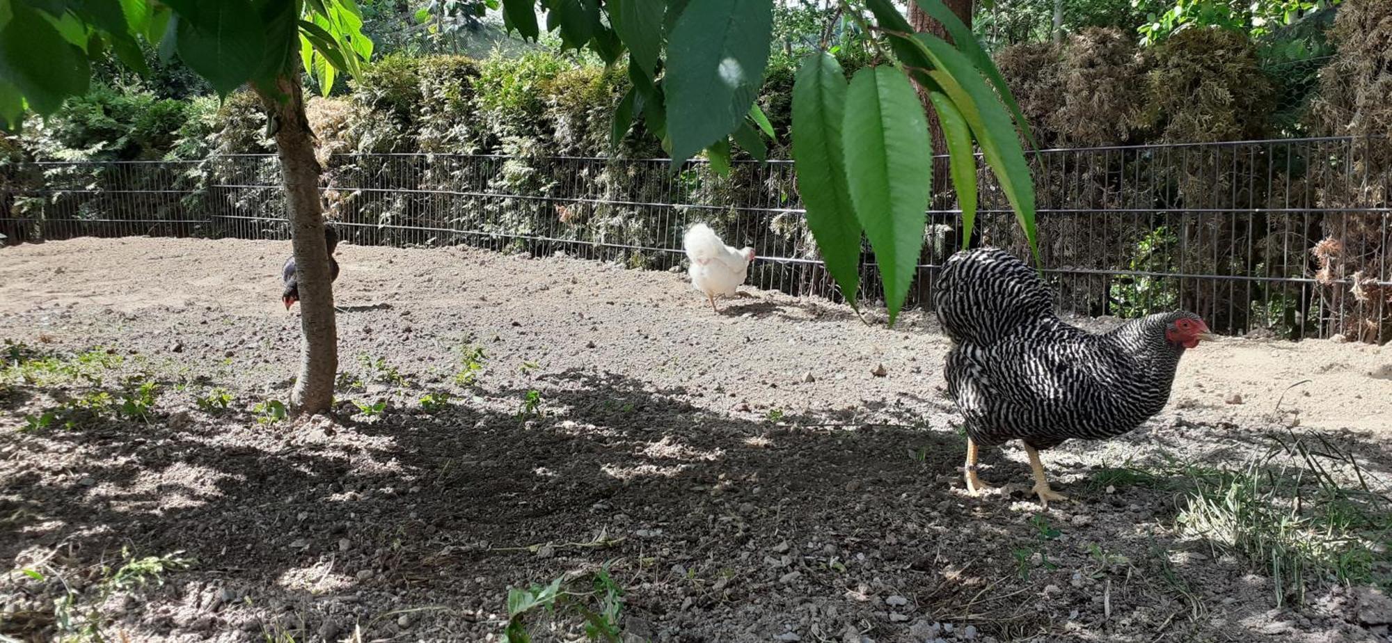 Appartamento Ferienwohnanlage Zur Himmelsleiter Tirschenreuth